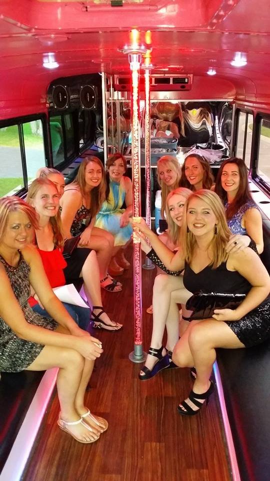 2003 Bluebird Bus - Pink Diamond Party Bus for sale in St Paul MN - photo 3